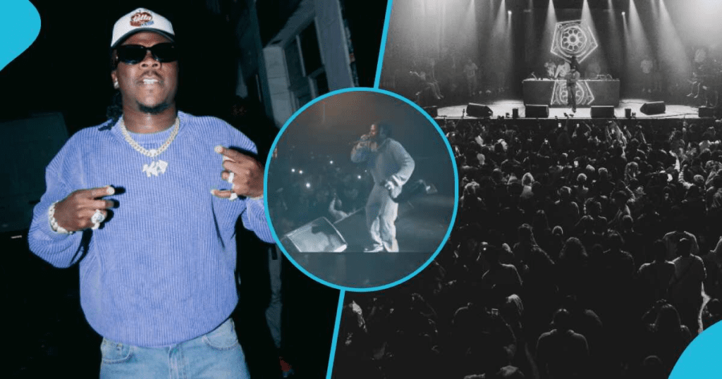 5th Dimension Europe Tour: Stonebwoy Delights Concertgoers In Hamburg: "he