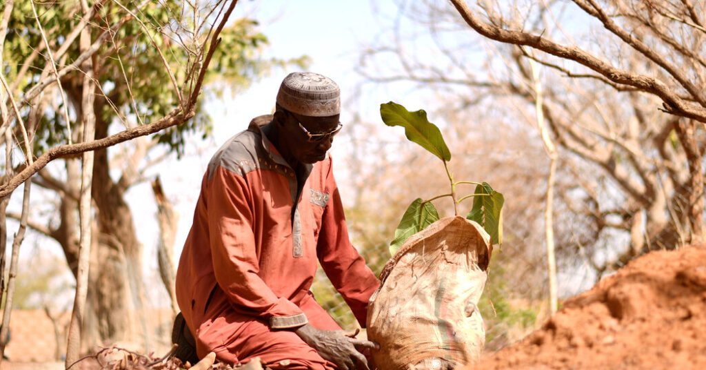 Yacouba Sawadogo, African Farmer Who Held Back The Desert, Dies
