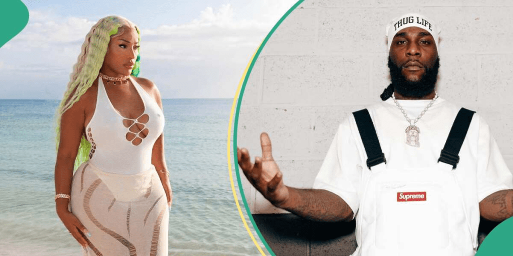 'he's A Dope Artiste': Stefflon Don Gushes, Shares How He