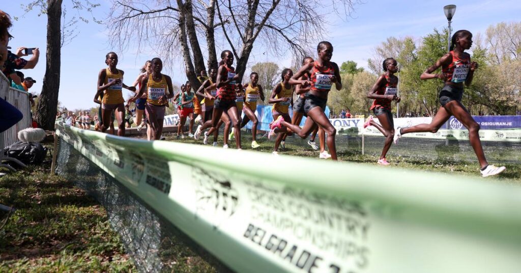 East African Nations Dominate World Cross Country Championships In Belgrade