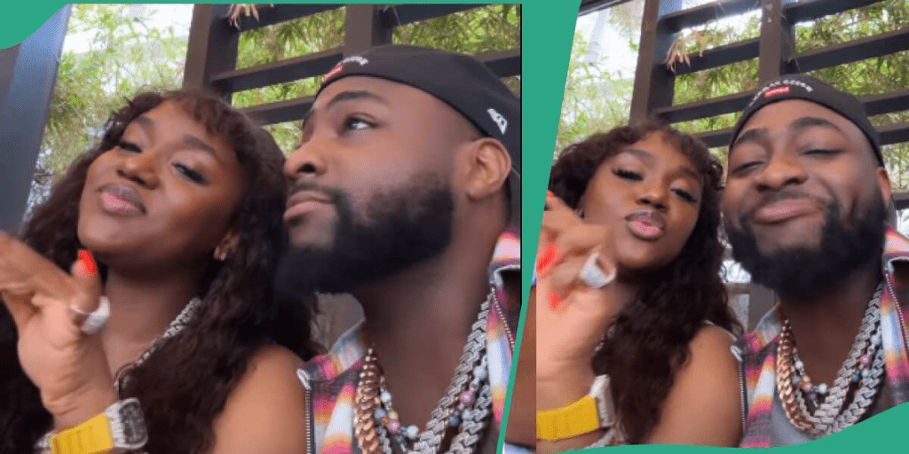 'sophia Is Typing': Fans React As Clip Of Davido Blowing