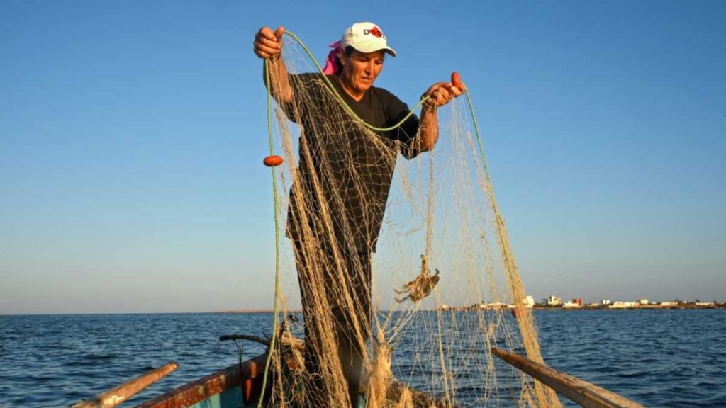 Tunisian Fishermen Fight Inequality And Climate Change